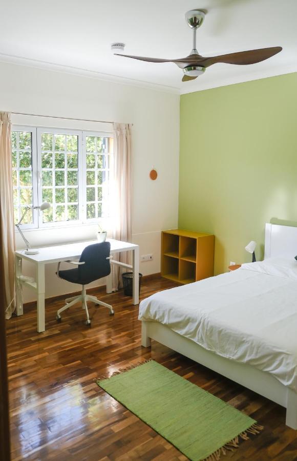 Lava Acores Coliving & Coworking Ribeira Grande Dış mekan fotoğraf