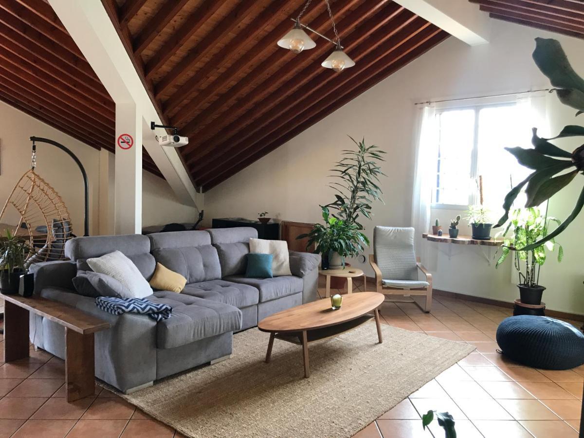 Lava Acores Coliving & Coworking Ribeira Grande Dış mekan fotoğraf