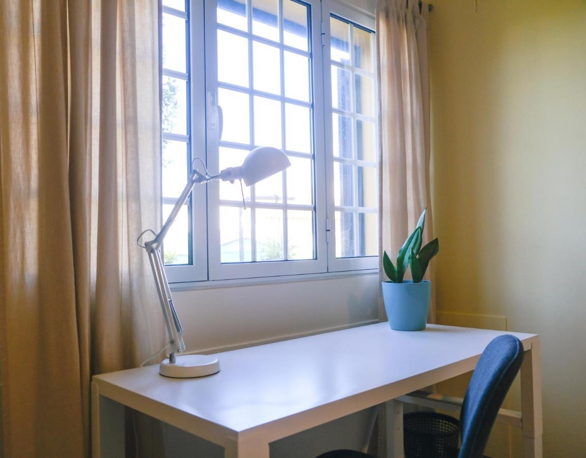 Lava Acores Coliving & Coworking Ribeira Grande Dış mekan fotoğraf
