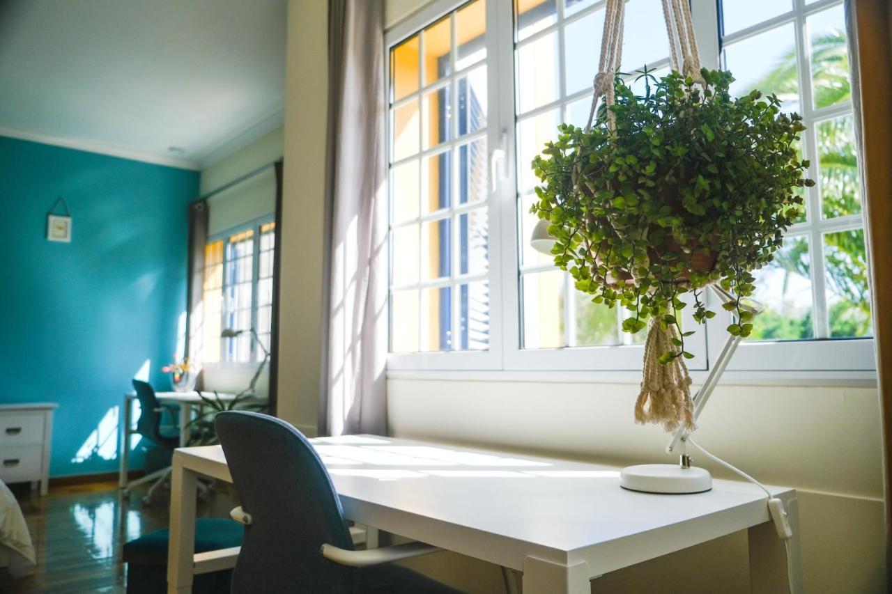 Lava Acores Coliving & Coworking Ribeira Grande Dış mekan fotoğraf