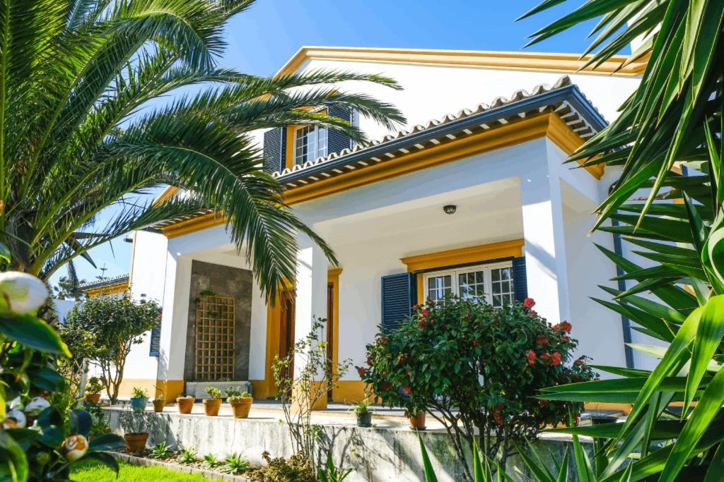 Lava Acores Coliving & Coworking Ribeira Grande Dış mekan fotoğraf