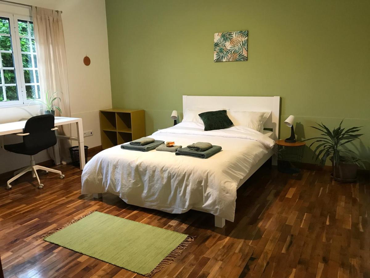 Lava Acores Coliving & Coworking Ribeira Grande Dış mekan fotoğraf